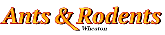 Wheaton Ant Exterminator & Rodent Control Company Logo
